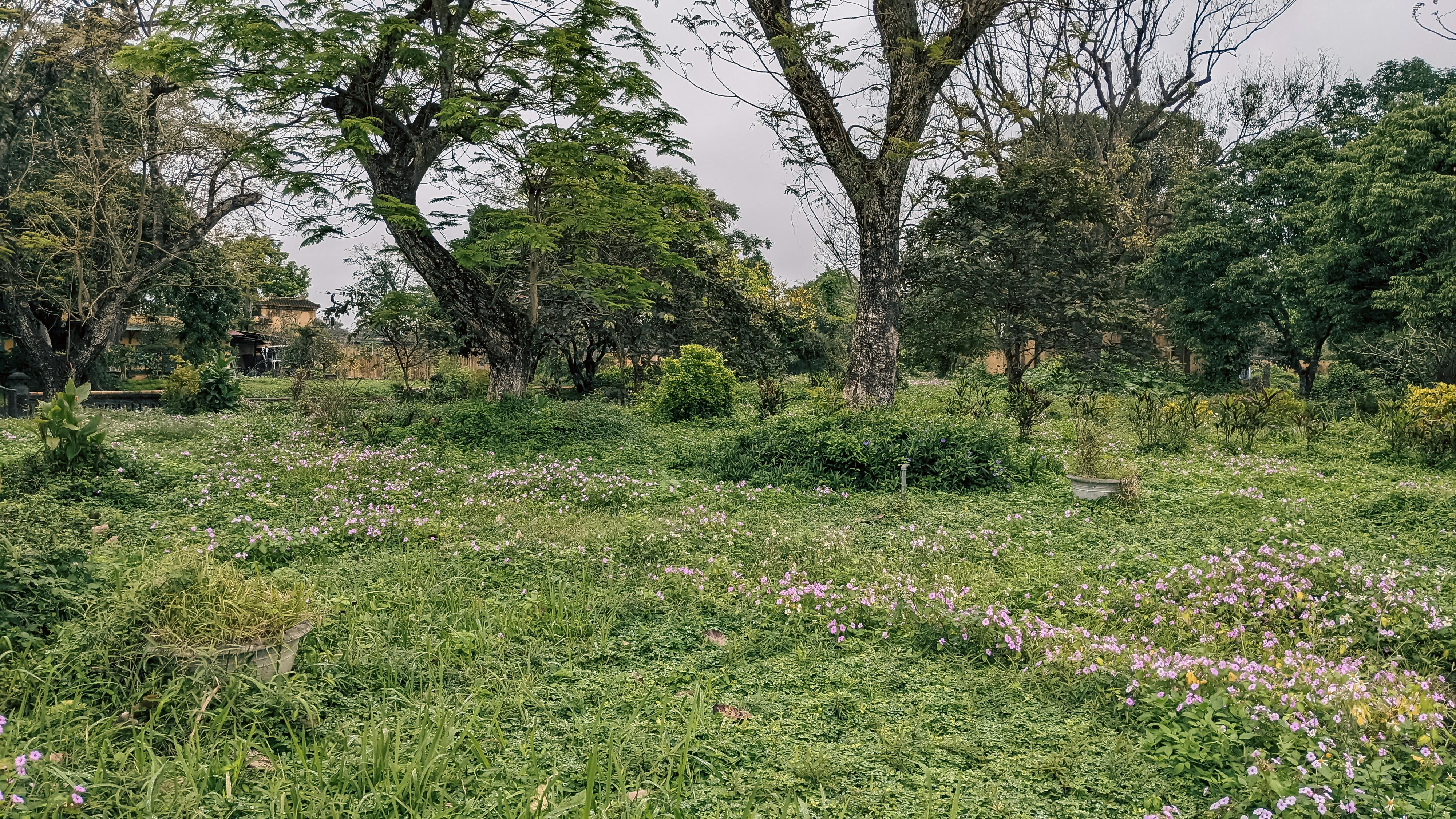 Thám tử lừng danh Conan | Chương 1023 444 – manga, gosho aoyama, case closed, tham tu lung danh conan, conan, detective conan, truyen tranh, trinh tham, pha an, trinh tham, kinh di, truyen conan, doc truyen conan, tham tu lung danh conan chuong 1013, tham tu lung danh conan 1013, tham tu lung danh conan 1023.