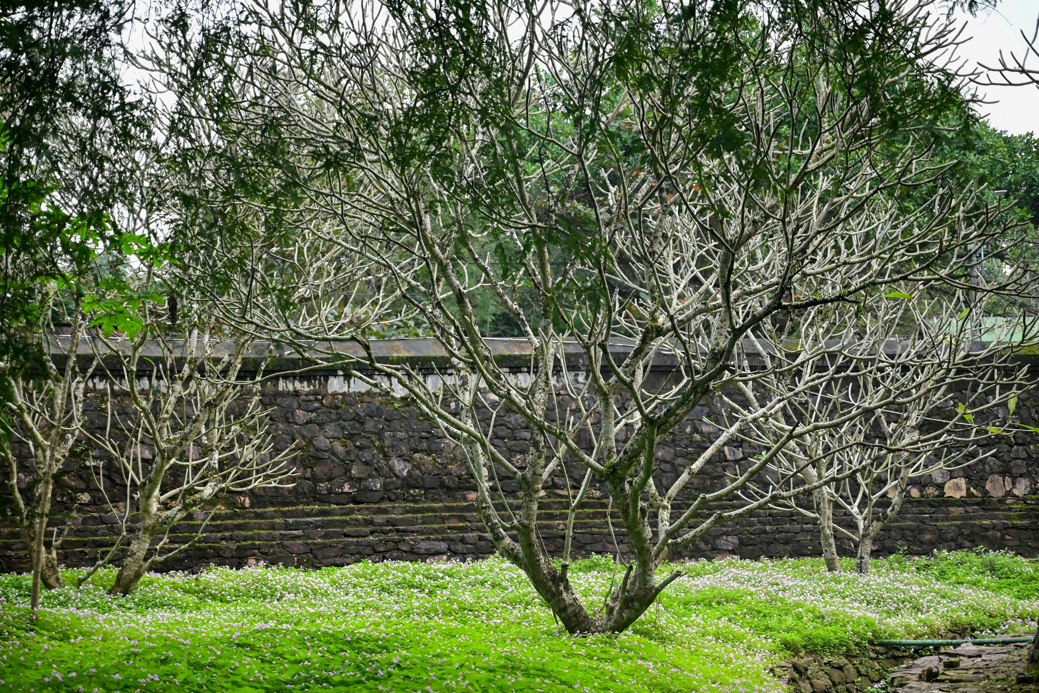 Trung tâm nghiên cứu văn học, phát triển nhà văn Việt Nam
