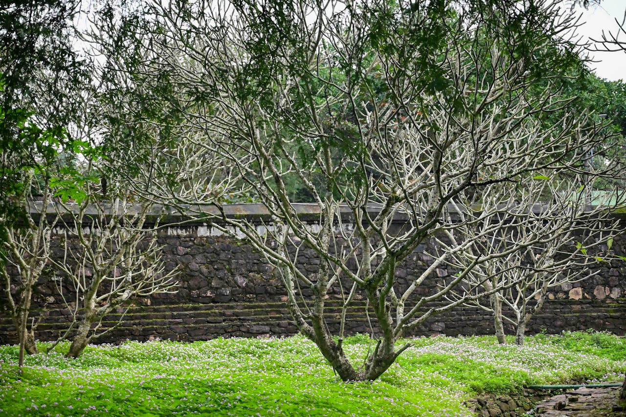 Ai có thể trở thành nhà văn?