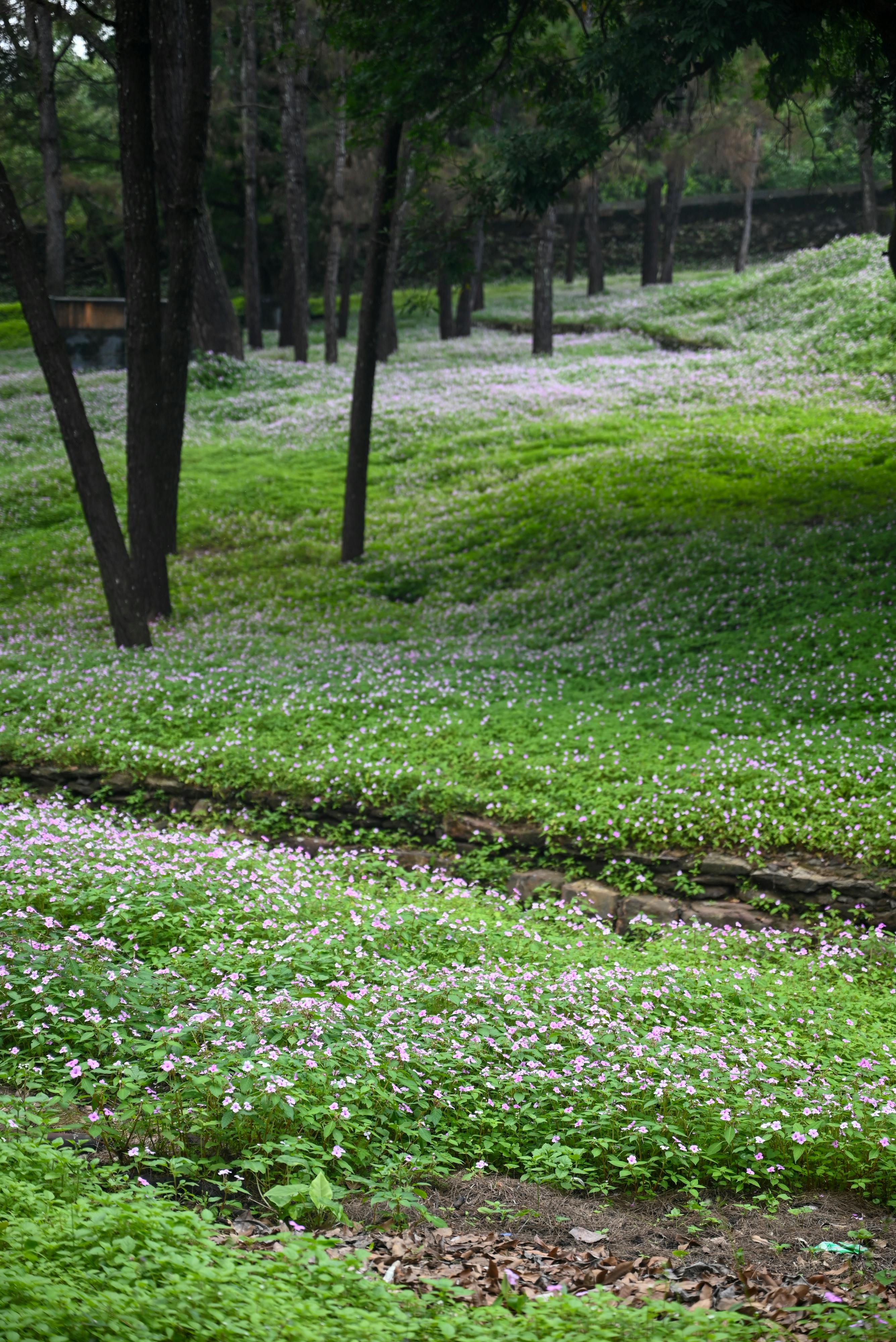 Trung tâm nghiên cứu văn học, phát triển nhà văn Việt Nam