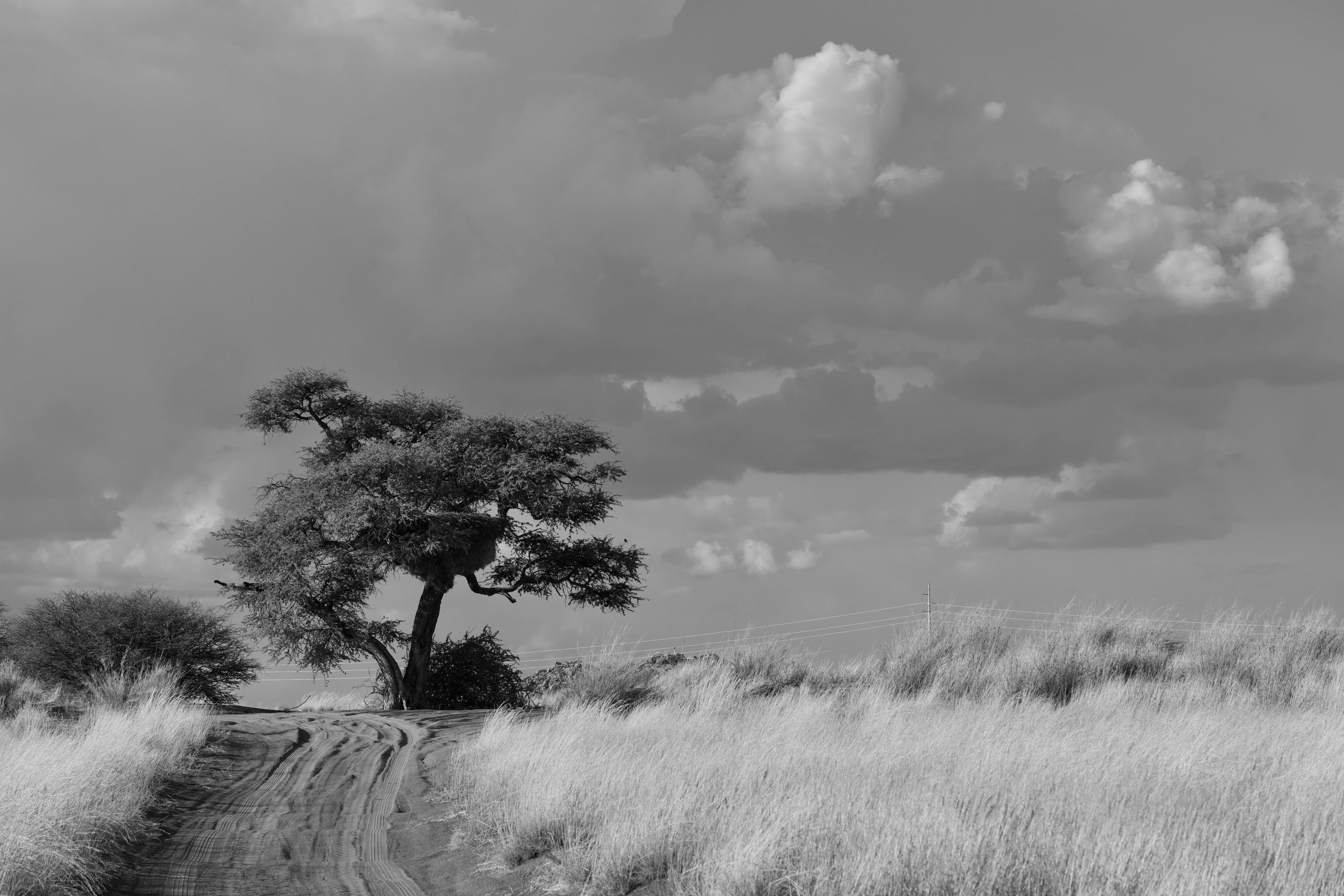 <b>Persiapan Awal: Dasar-Dasar yang Perlu Anda Ketahui</b>