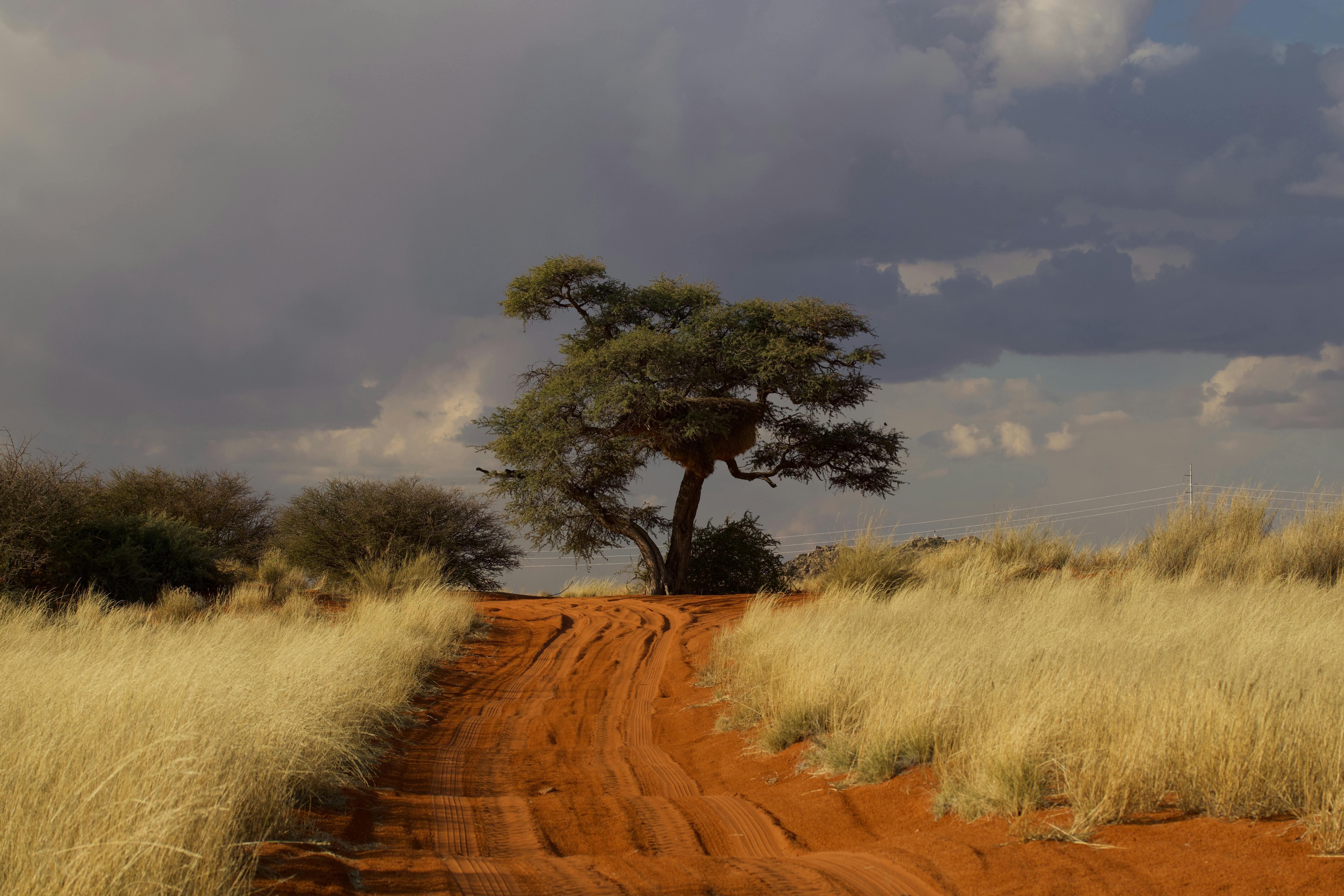 How to Identify Authentic Gemstone Raws in Minutes