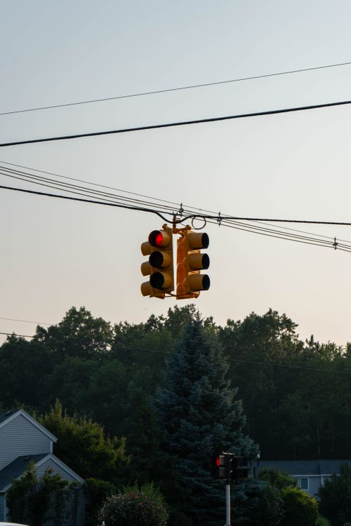Free Suburban traffic light in Holland, Michigan with trees and homes in the background. Stock Photo