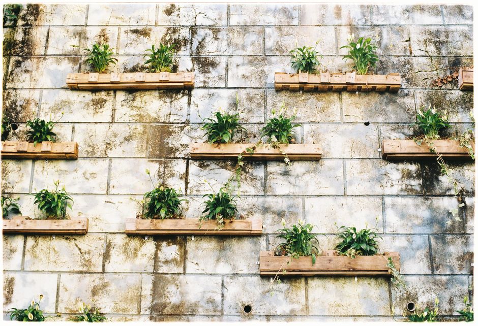 Can I Build a Wooden Planter Box with Just One Tool?