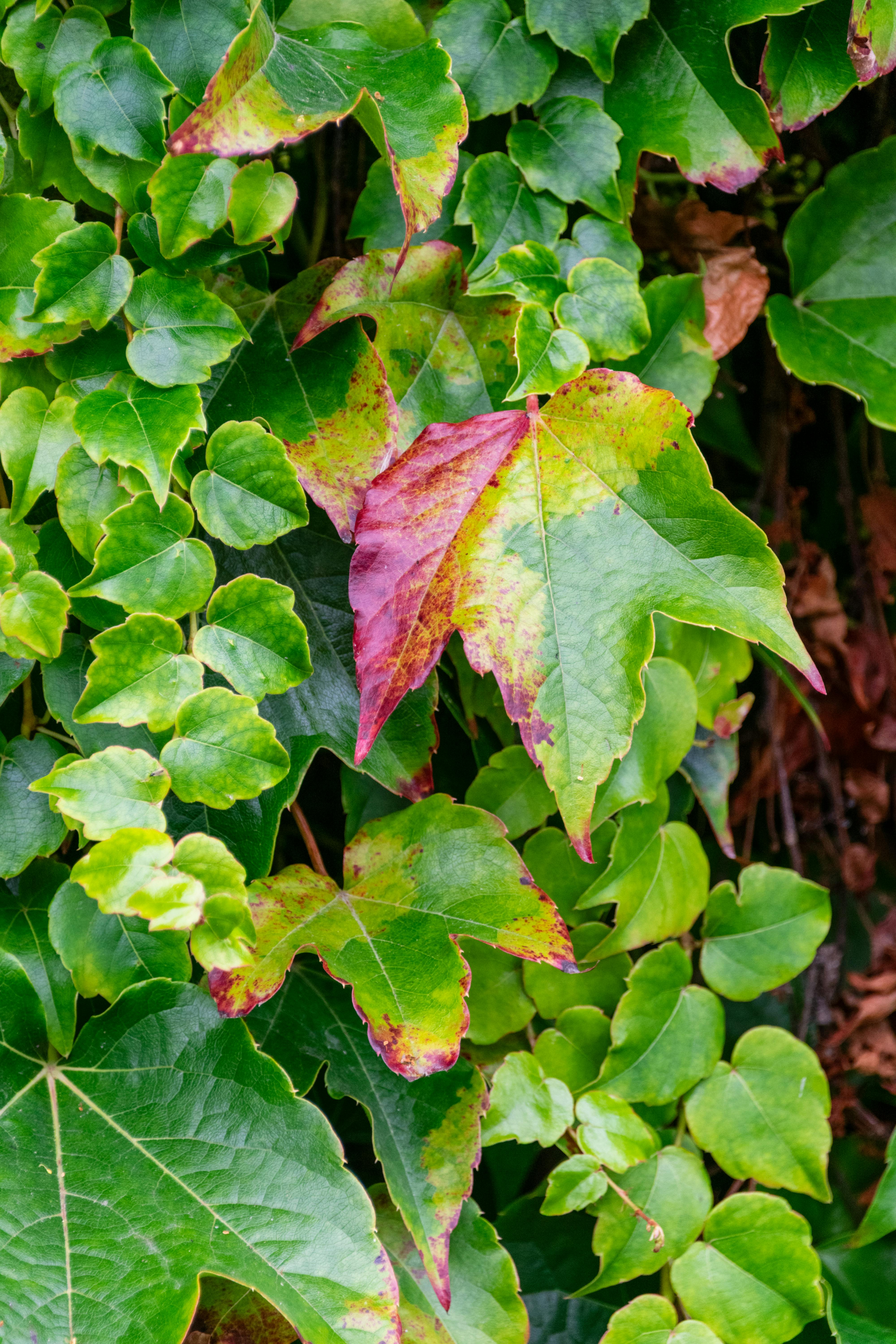 Core Principles of Change Management