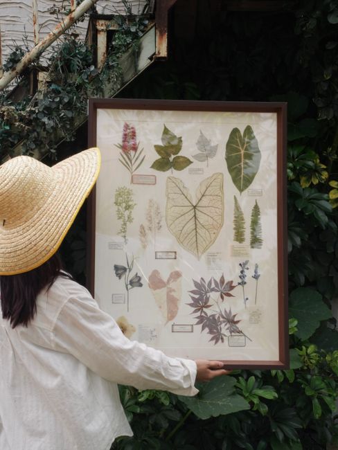 Woman holding framed botanical print in a lush garden setting.