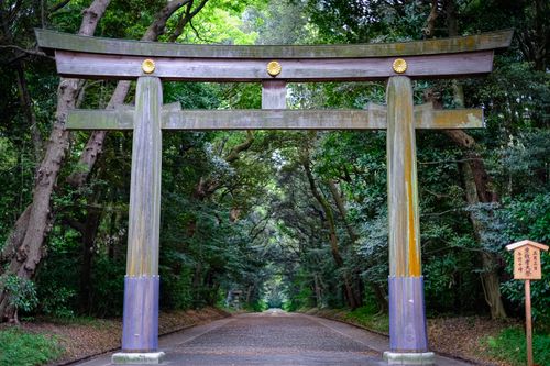 Free Wooden torii gate marks entrance to scenic forest path, symbolizing spiritual passage. Stock Photo