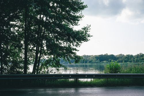 Free A peaceful lakeside view with lush trees and a quiet roadside, capturing the beauty of nature. Stock Photo