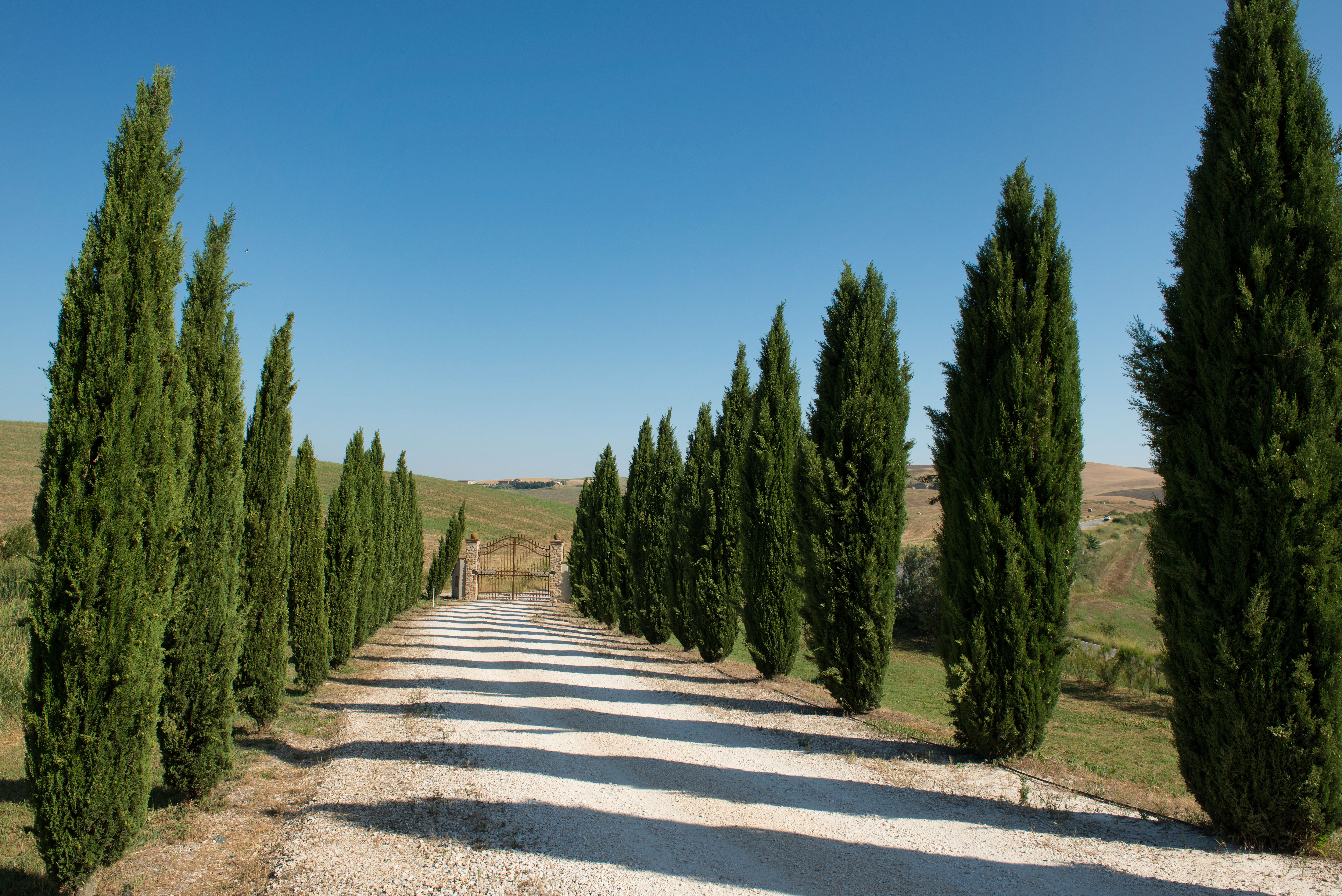 Crete Senesi Day Trip from Siena