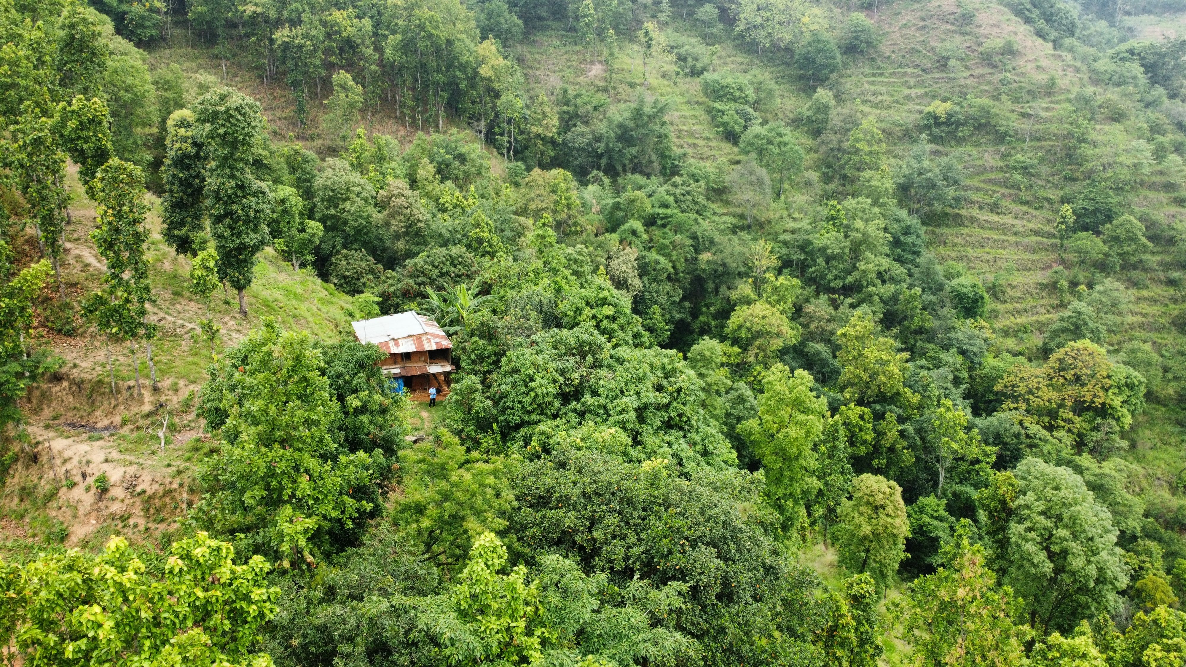 Aerial View of House Surrounded by Lush Green Forest · Free Stock Photo