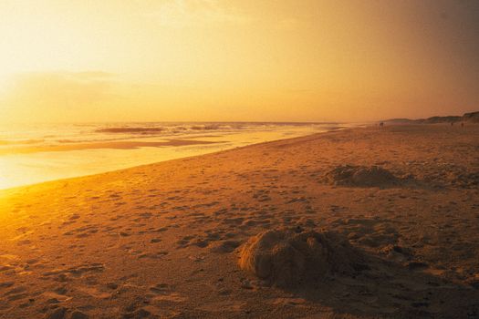 Experience the serene beauty of a Danish beach during a captivating golden sunset.