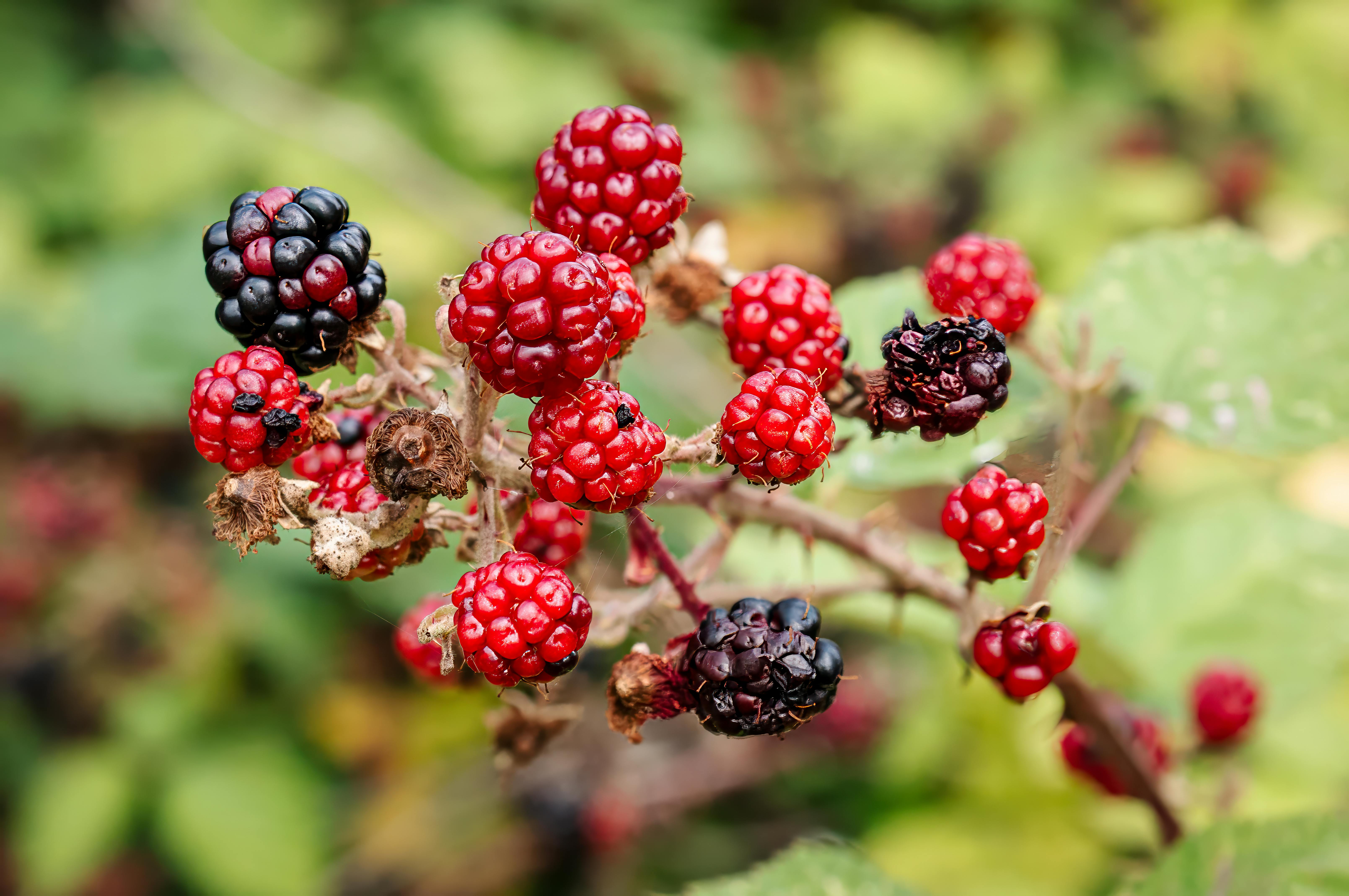 Backyard Bootcamp Ideas for All Levels