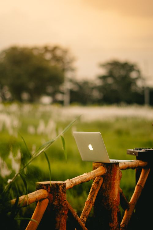 Free A serene laptop setup on a rustic fence amidst lush greenery glowing in sunset light. Stock Photo