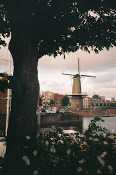 Discover a picturesque view of a Dutch windmill by the canal in Rotterdam, accented with greenery and historic architecture.