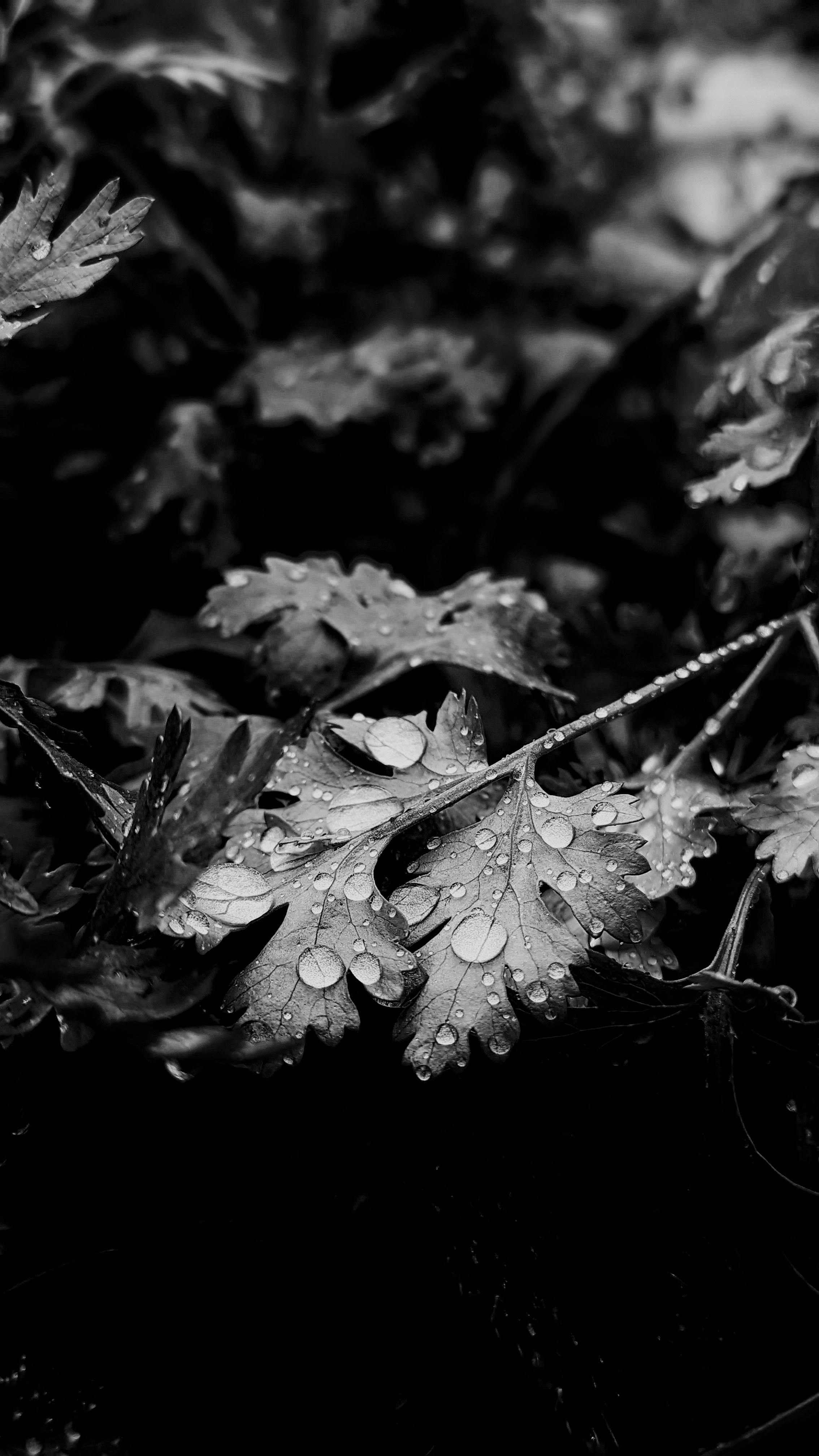 Sophie+Rain+Hot Photos, Download The BEST Free Sophie+Rain+Hot Stock Photos & HD Images