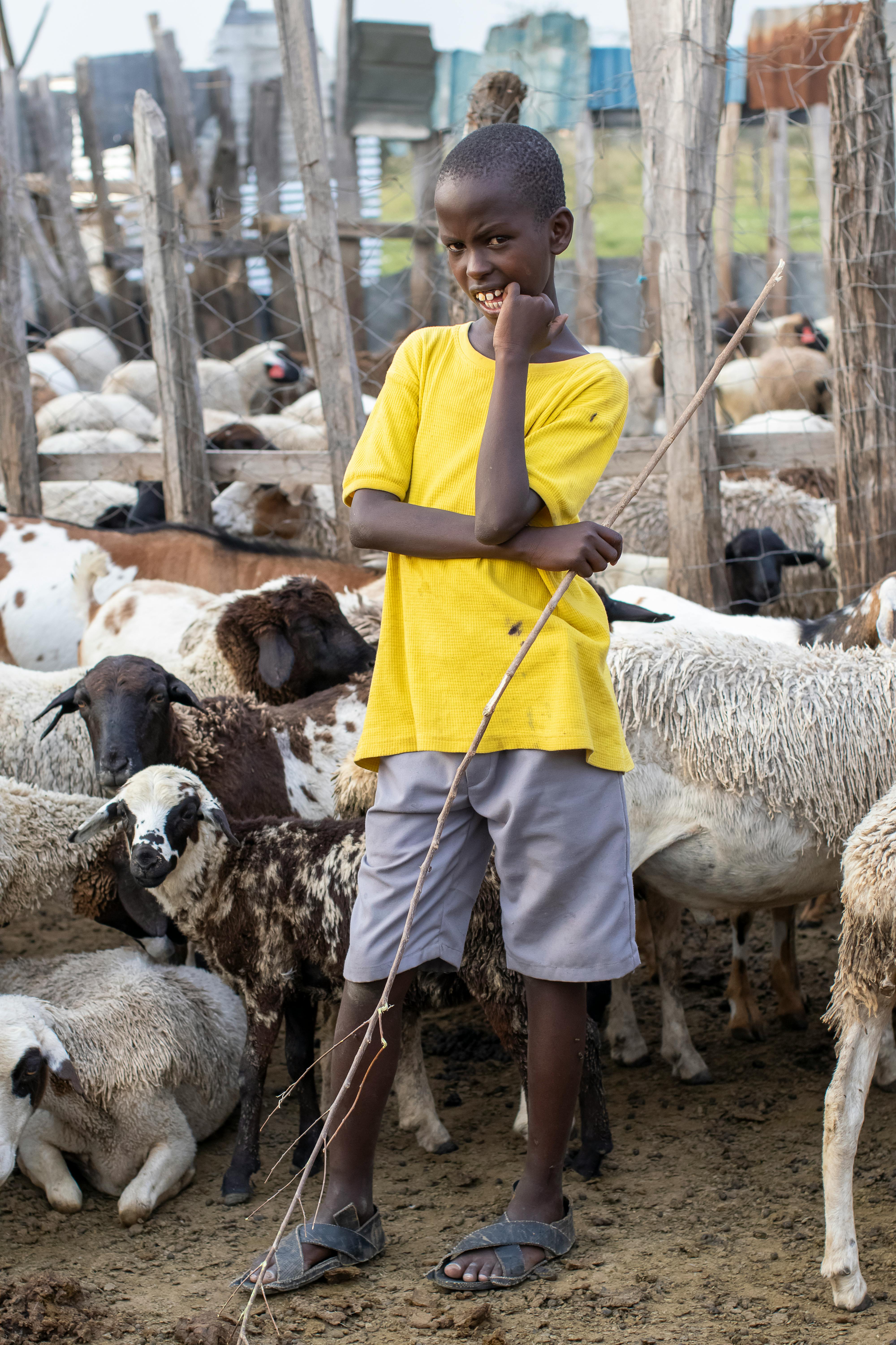 Change Management Professional