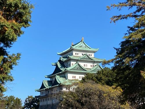 Free Nagoya Castle framed by trees, under a clear blue sky in Japan. Stock Photo