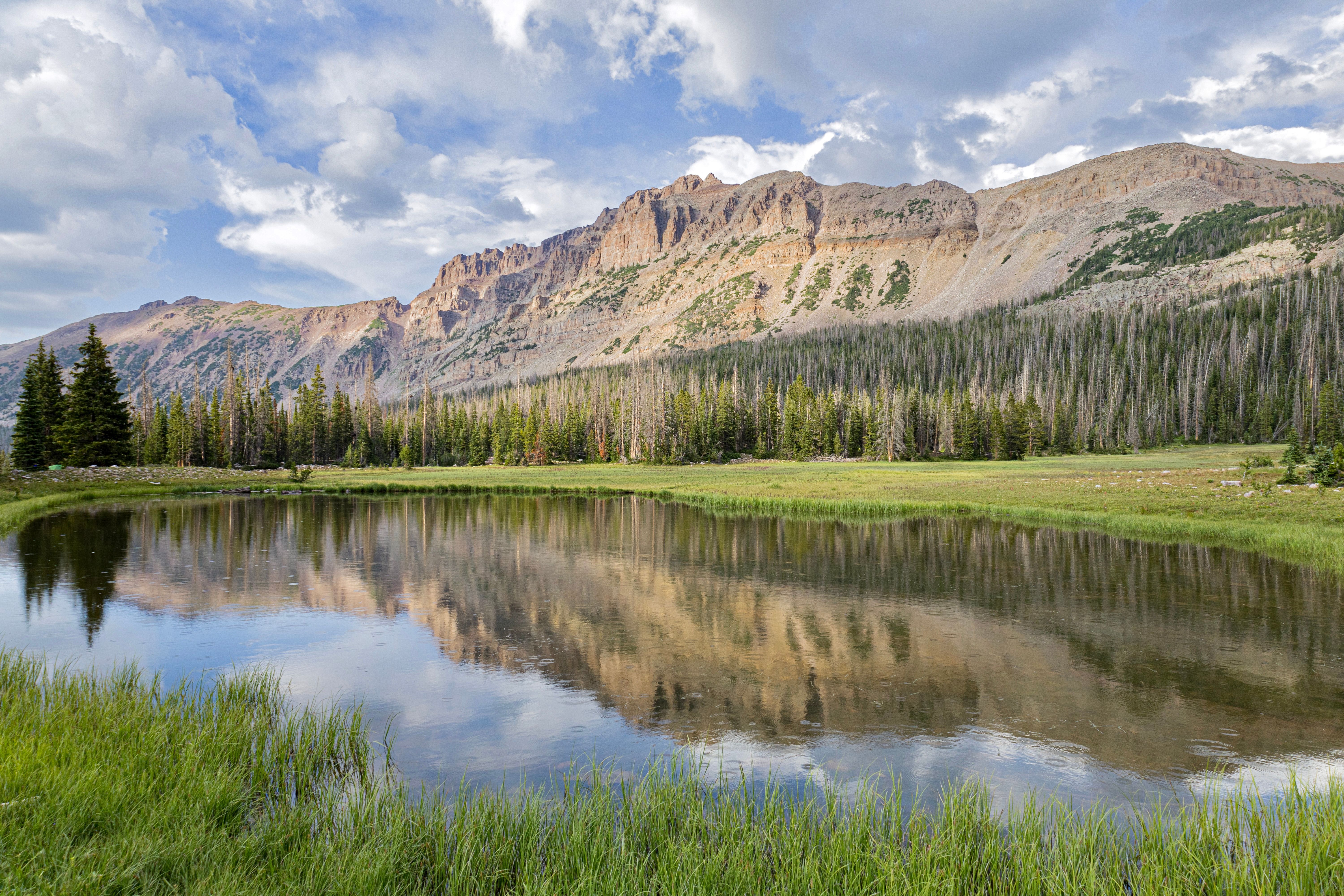 Beautiful mountain landscape reflected in a serene lake surrounded by lush greenery and clear skies.