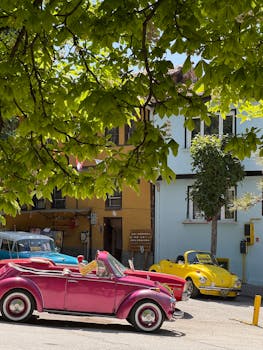Colorful vintage cars parked under a leafy tree, showcasing retro vibes.