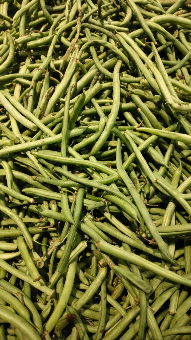 bean