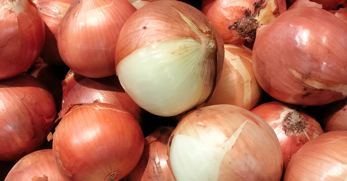 2025臺灣美食展 嘗遍寶島鮮味 饗宴不容錯過