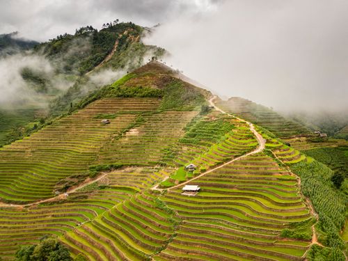 Free Aerial view of vibrant rice terraces in Mu Cang Chai, Vietnam, shrouded in fog. Stock Photo