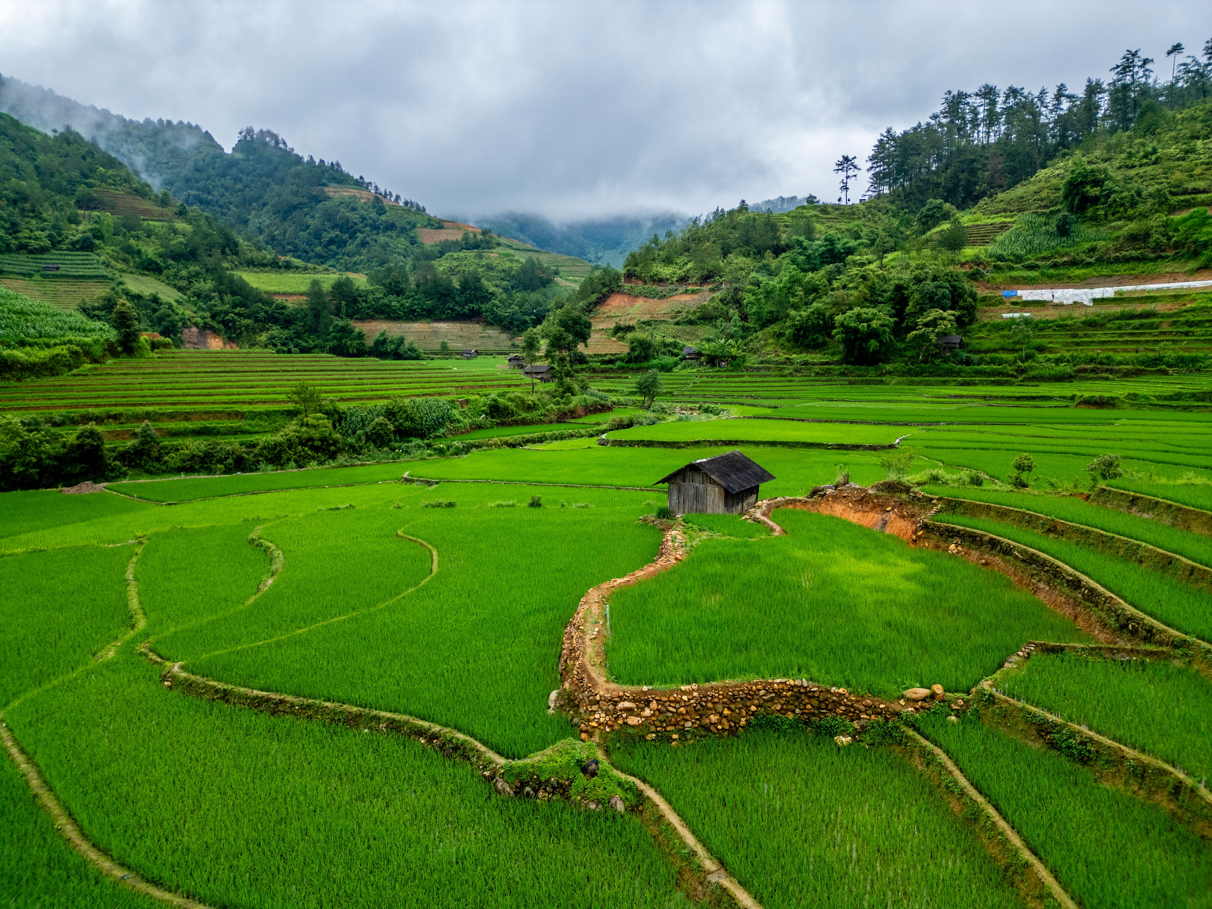 Stunning Aerial View of Mu Cang Chai Rice Terraces · Free Stock Photo