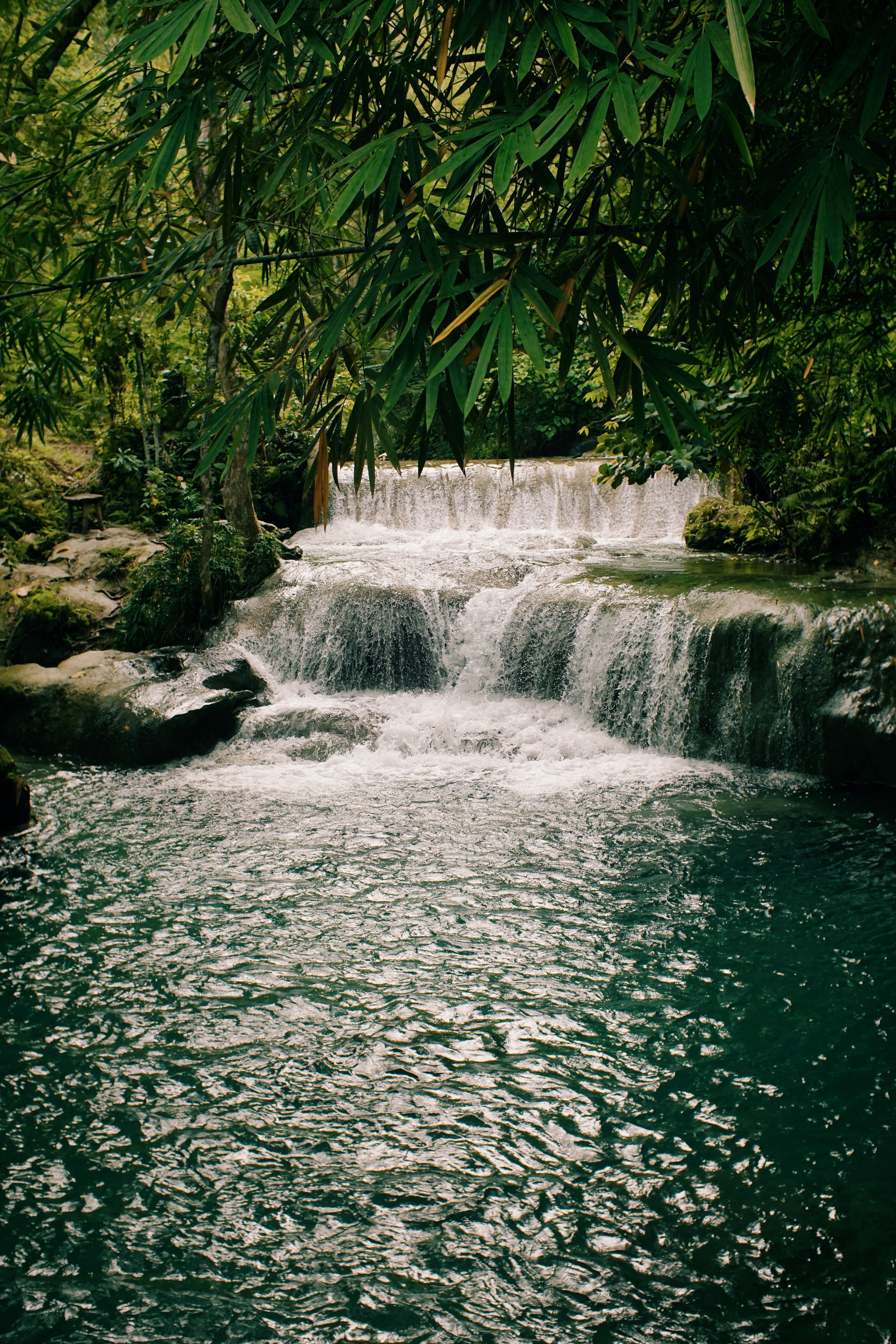 Serene Waterfall in Lush Green Forest Landscape · Free Stock Photo
