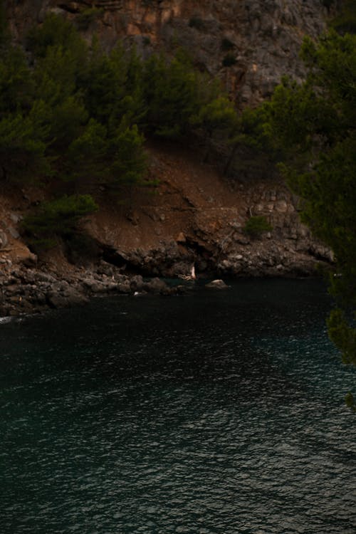 ada, avuç içi, calobre içeren Ücretsiz stok fotoğraf