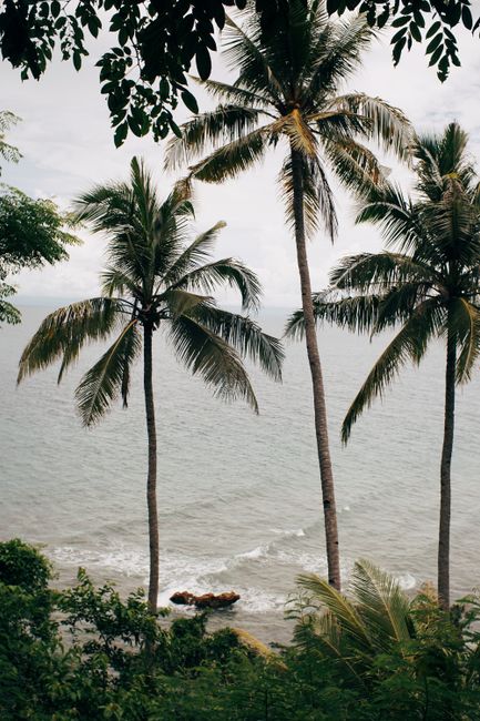 Tranquil tropical beach scene with palm trees by the ocean under a cloudy sky.