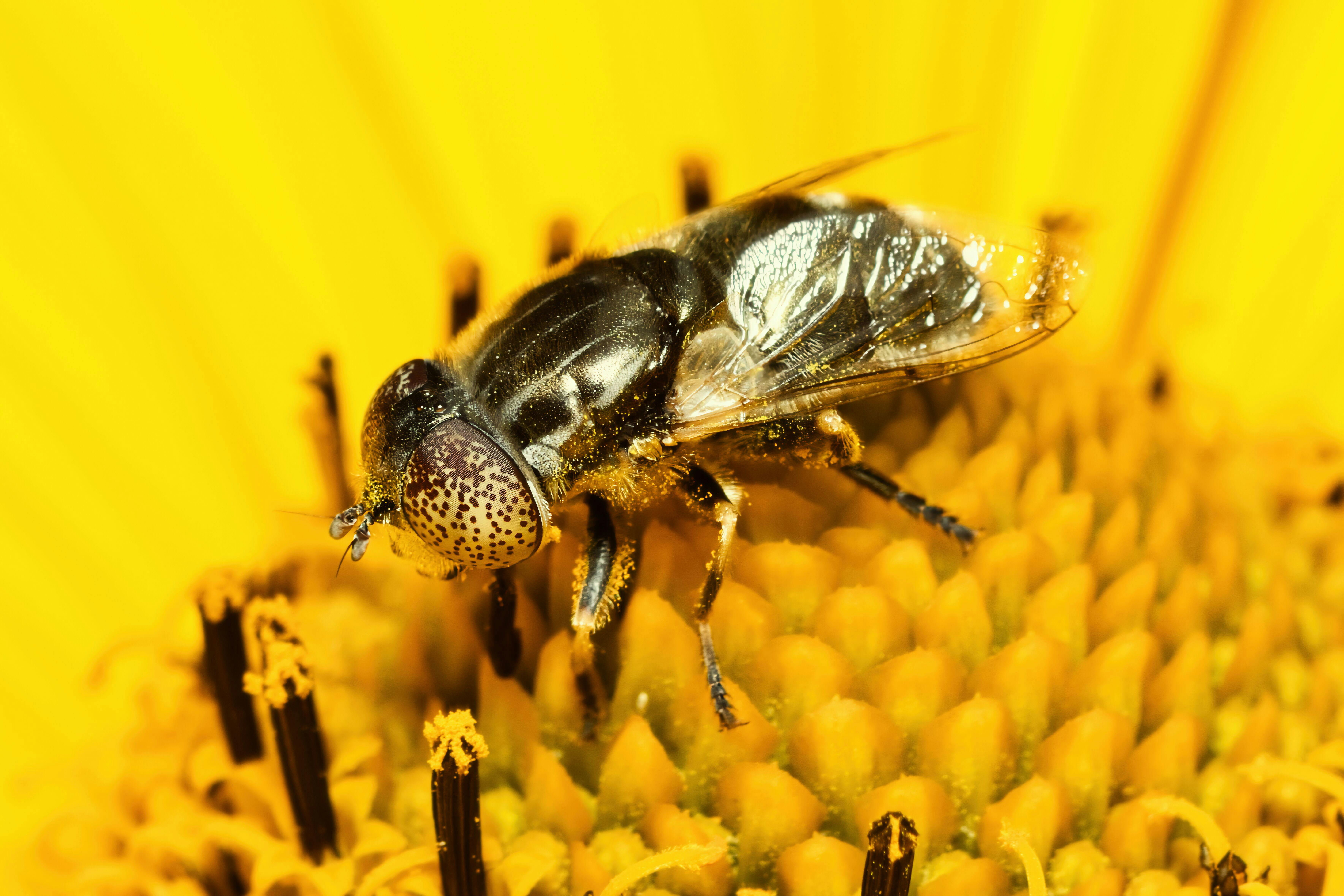 The Future of Sustainable Agriculture