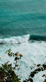 Peaceful ocean waves hitting the shore with lush greenery overhead, photographed from above.