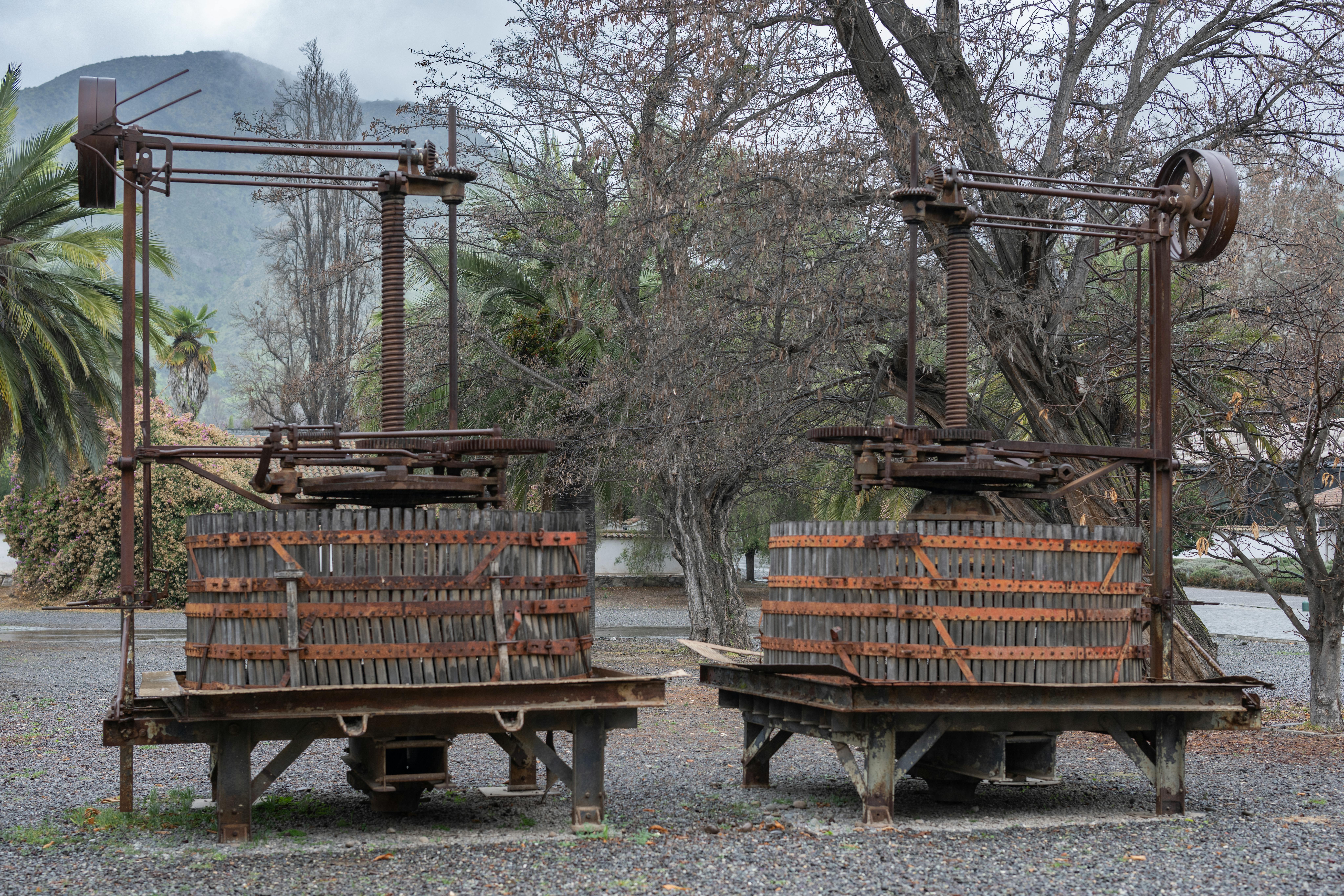 Unexpected Aromas That Spark Instant Attraction