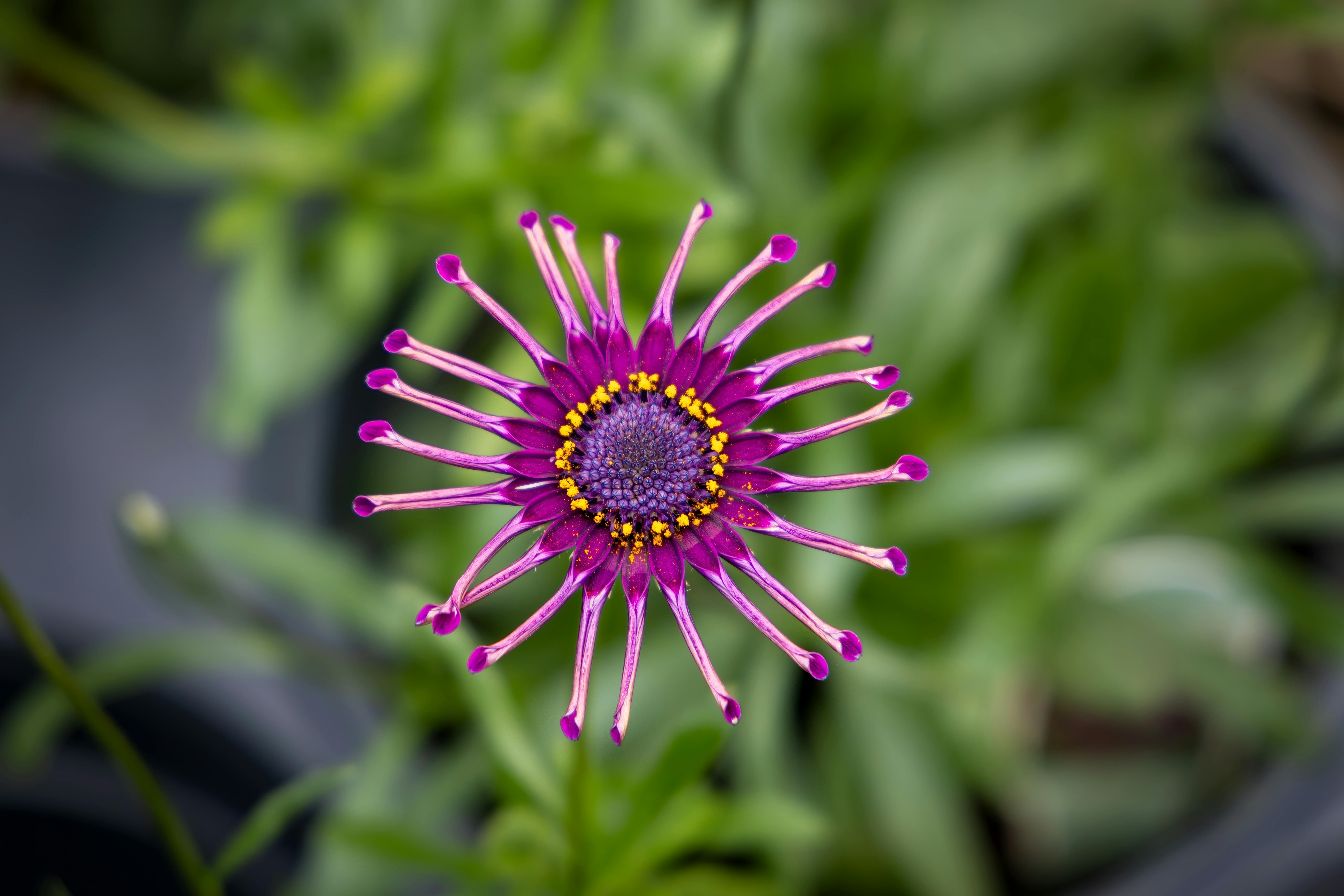 Change Management Training