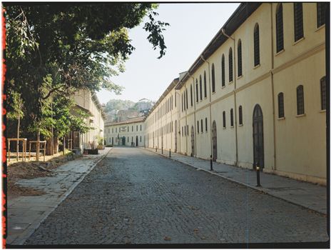 A serene cobblestone street lined with vintage buildings under a clear sky.