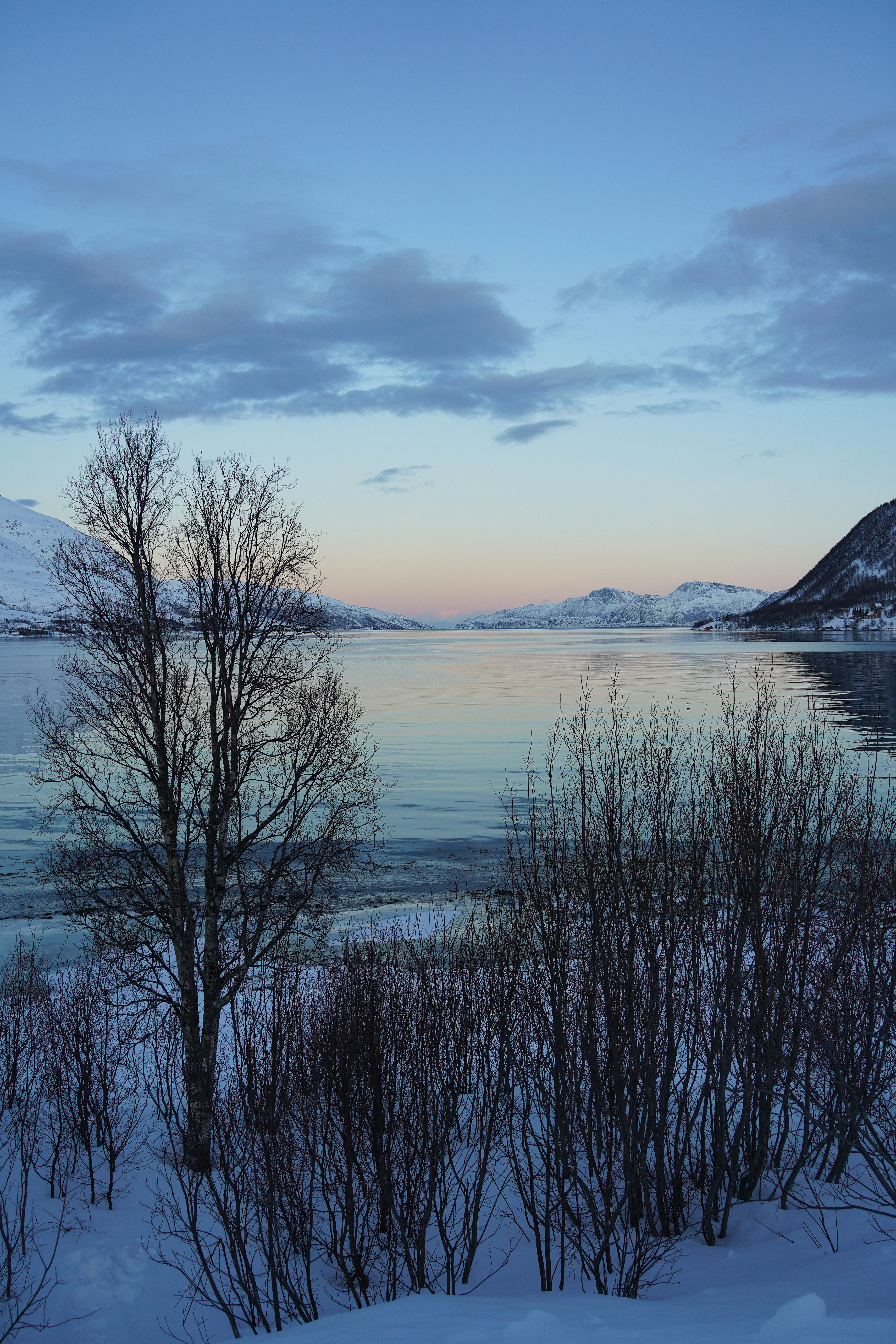 Serene Winter Landscape with Snowy Mountains · Free Stock Photo