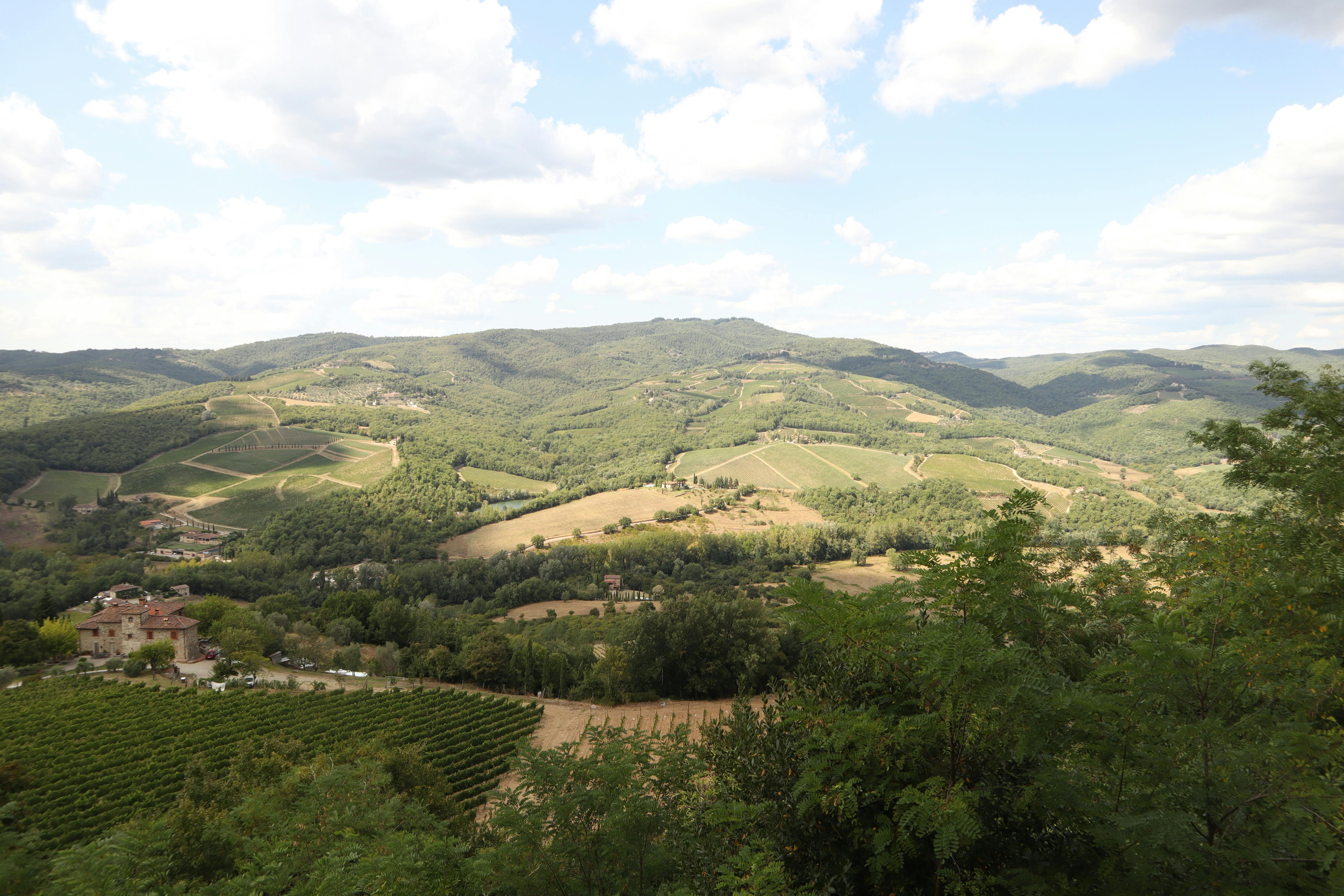 Half-day Chianti wine experiences are Florence's best afternoon escape.