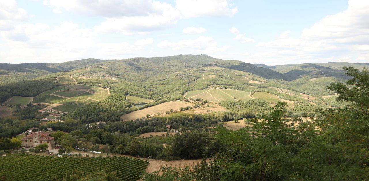 Castellina in Chianti