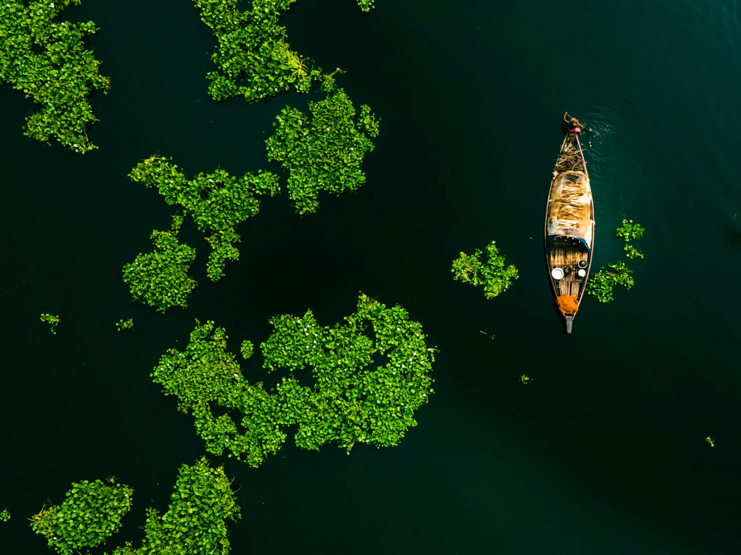 Aerial shot of a traditional boat navigating through a river with green algae patches.