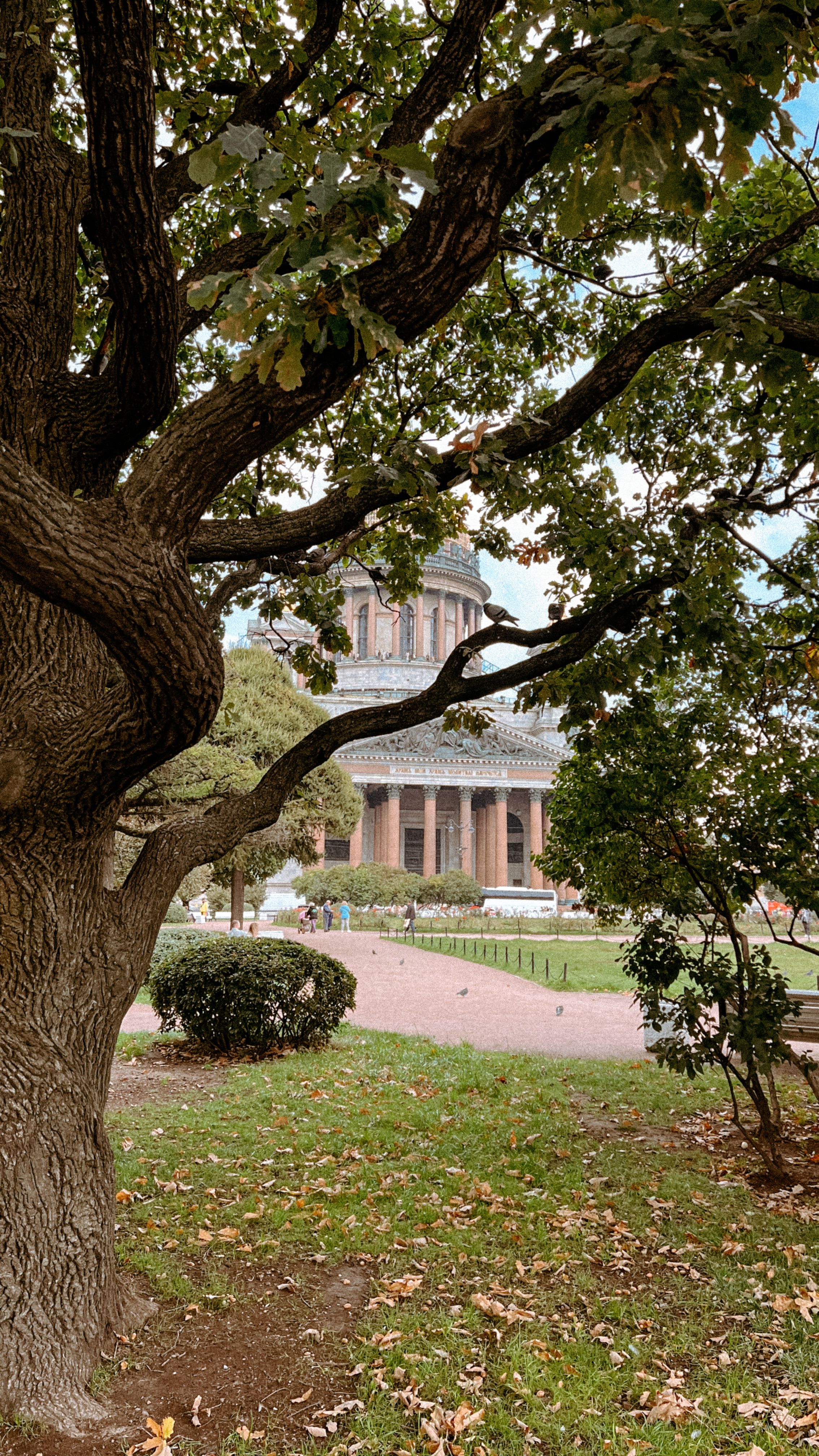Scenic View of Iconic Landmark Through Trees · Free Stock Photo