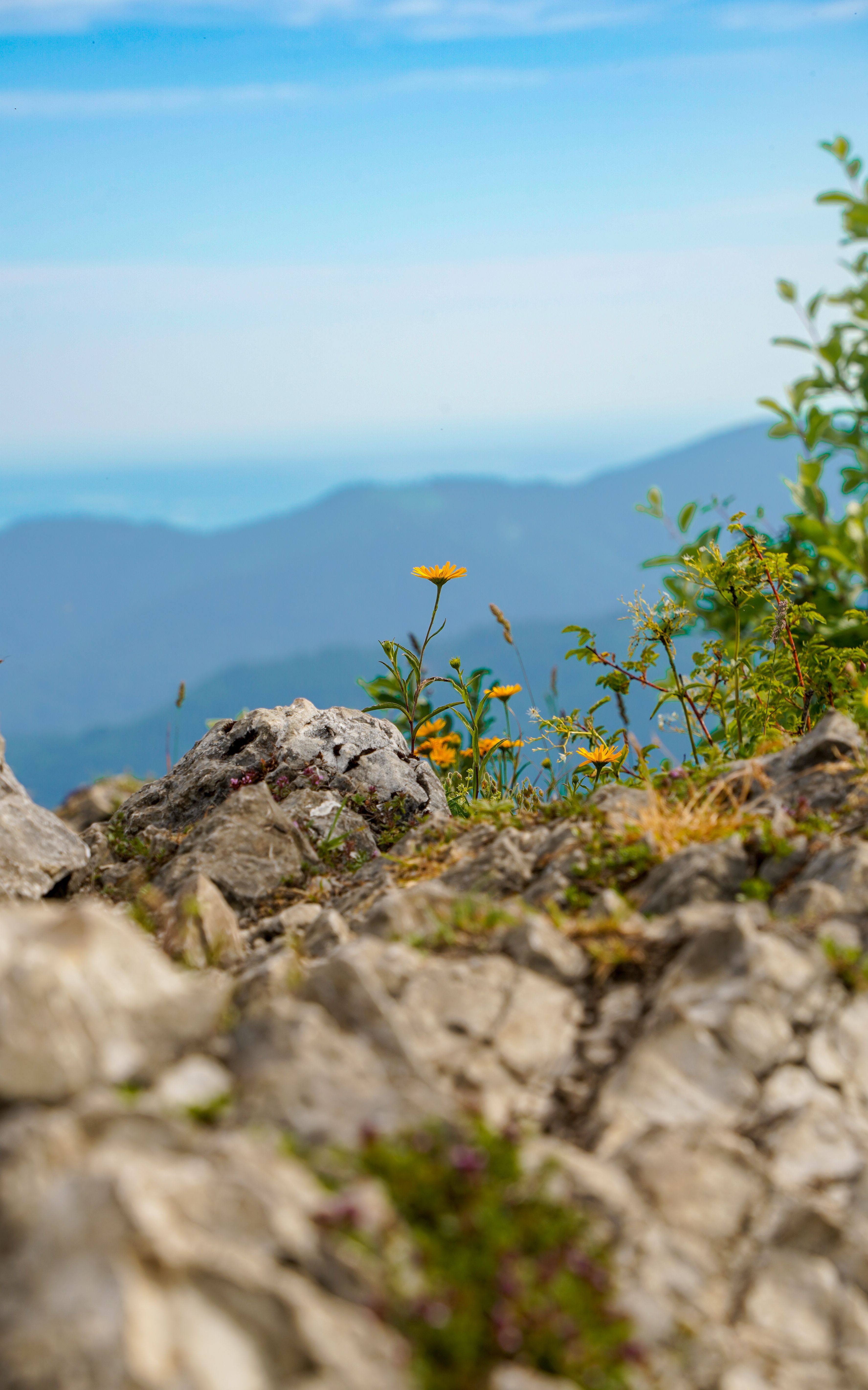 Hoe je bergen kadert vanaf een trailstop zonder te haasten — welke lens werkt het best voor grote landschappen vanaf een uitzichtpunt op het pad?