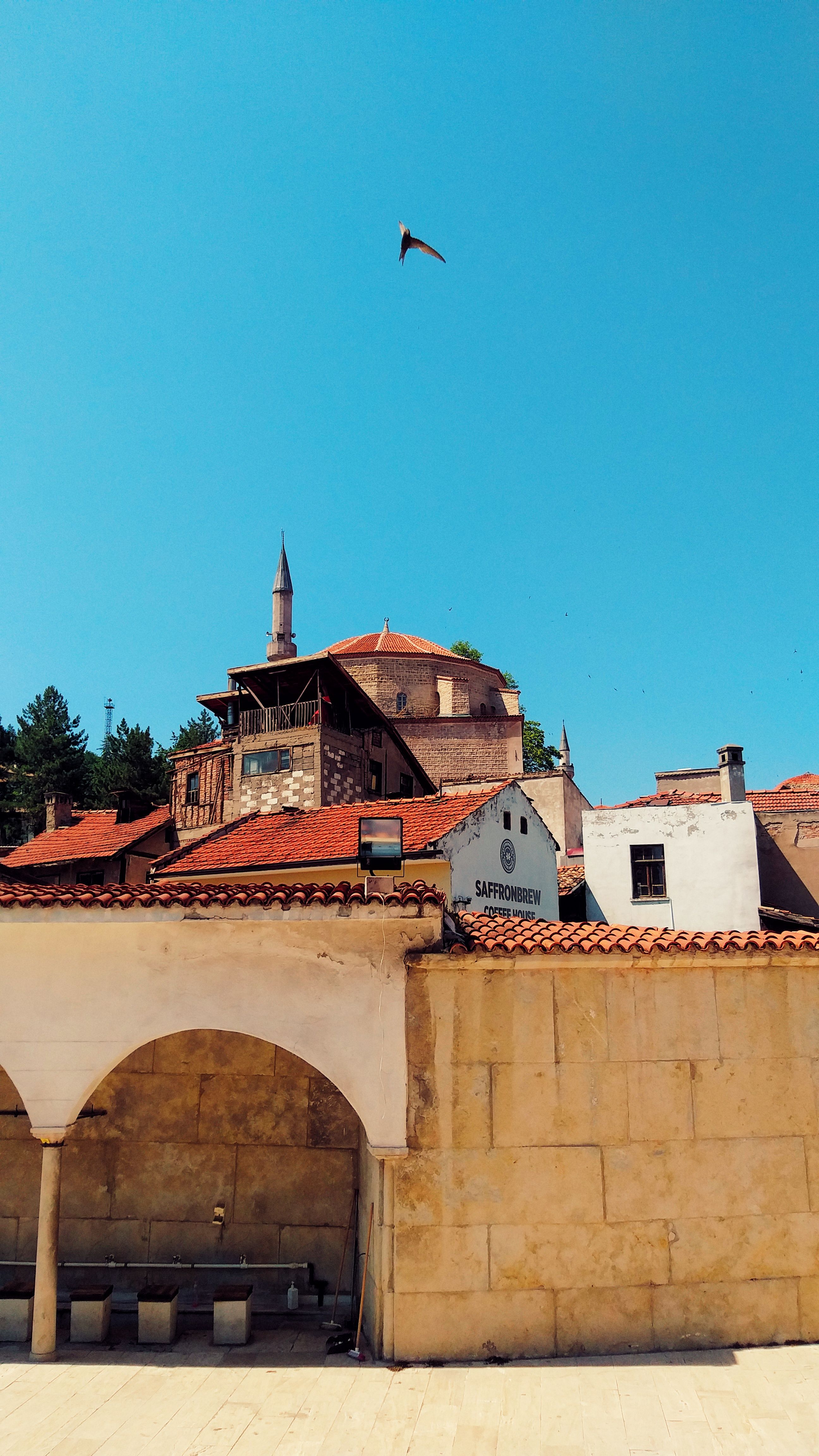 A clear day view of historic architecture in Karabük, Türkiye with a bird soaring above.