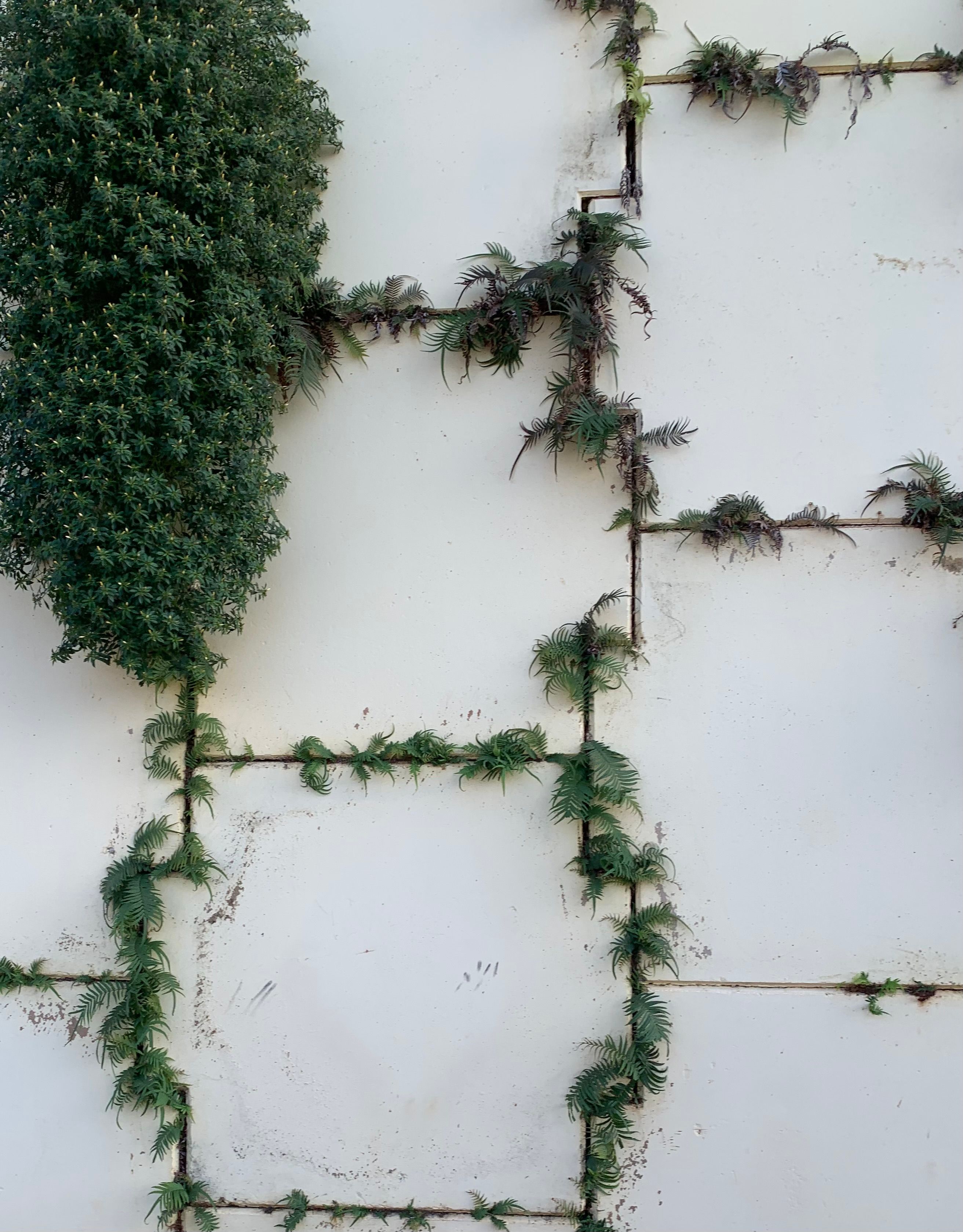 Image showcasing Vertical Garden with Geometric Pattern Design · Free Stock Photo