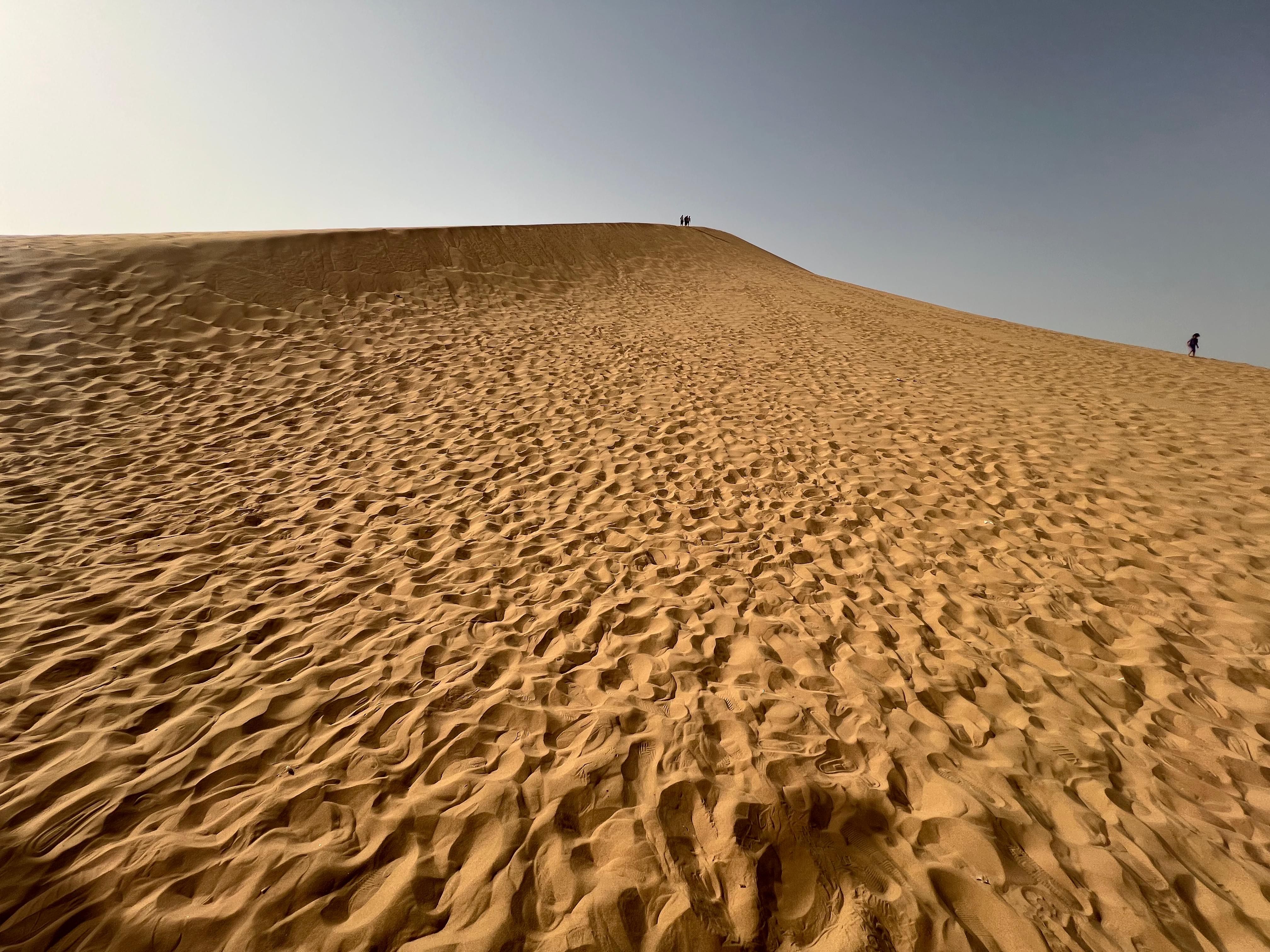 عسل وعافية