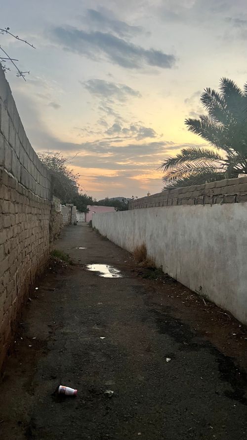 Free Taif Stock Photo