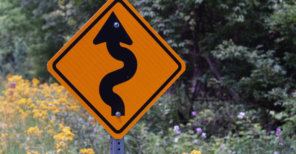 Yellow curvy road sign surrounded by wildflowers and greenery.