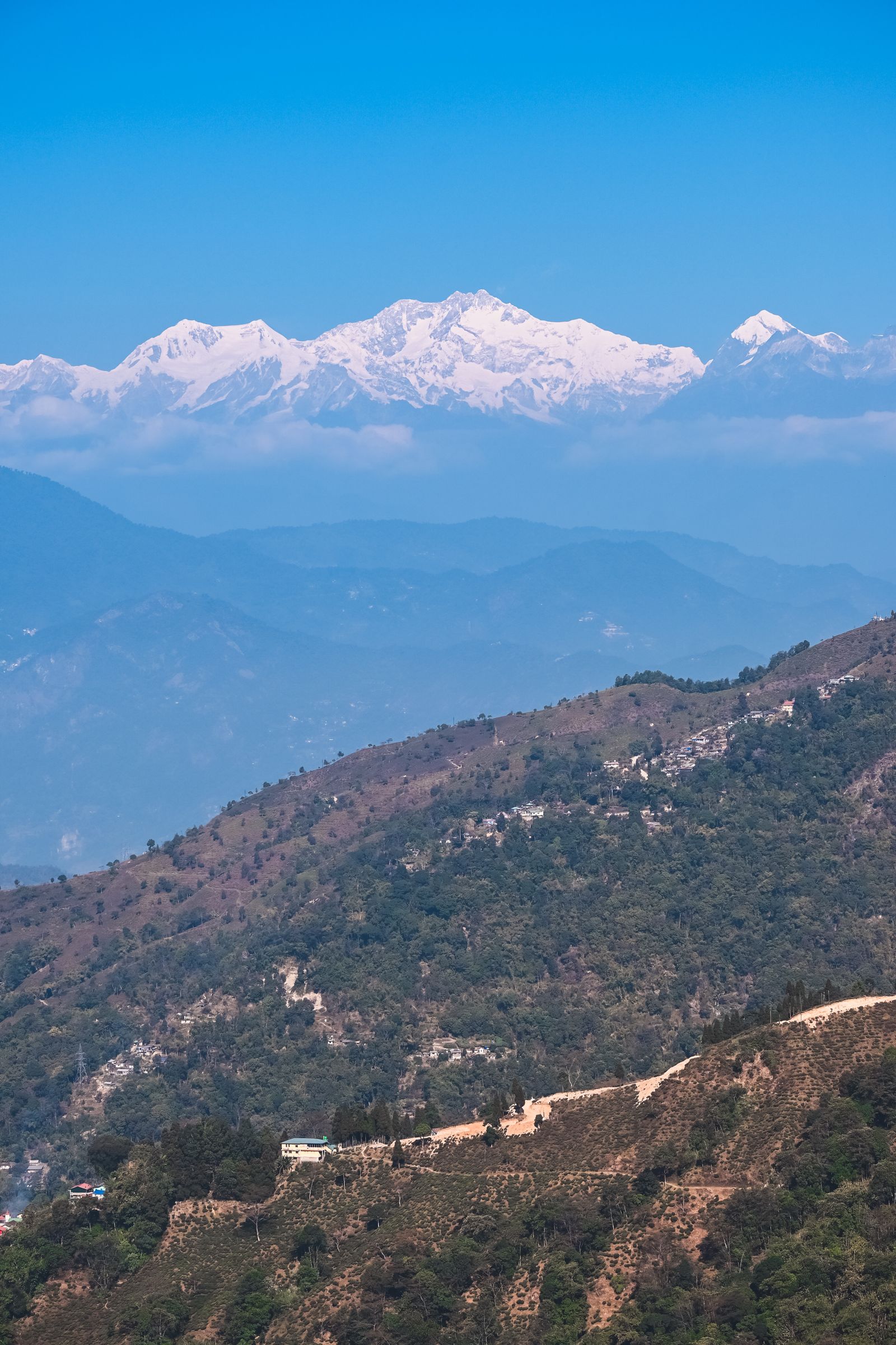 Kanchenjunga standing white above layered blue ridges and hillside villages, seen from Darjeeling