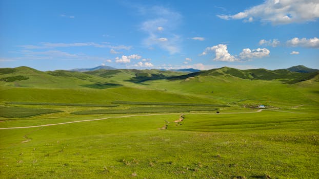 Expansive green landscapes with rolling hills under a bright blue sky in summer.