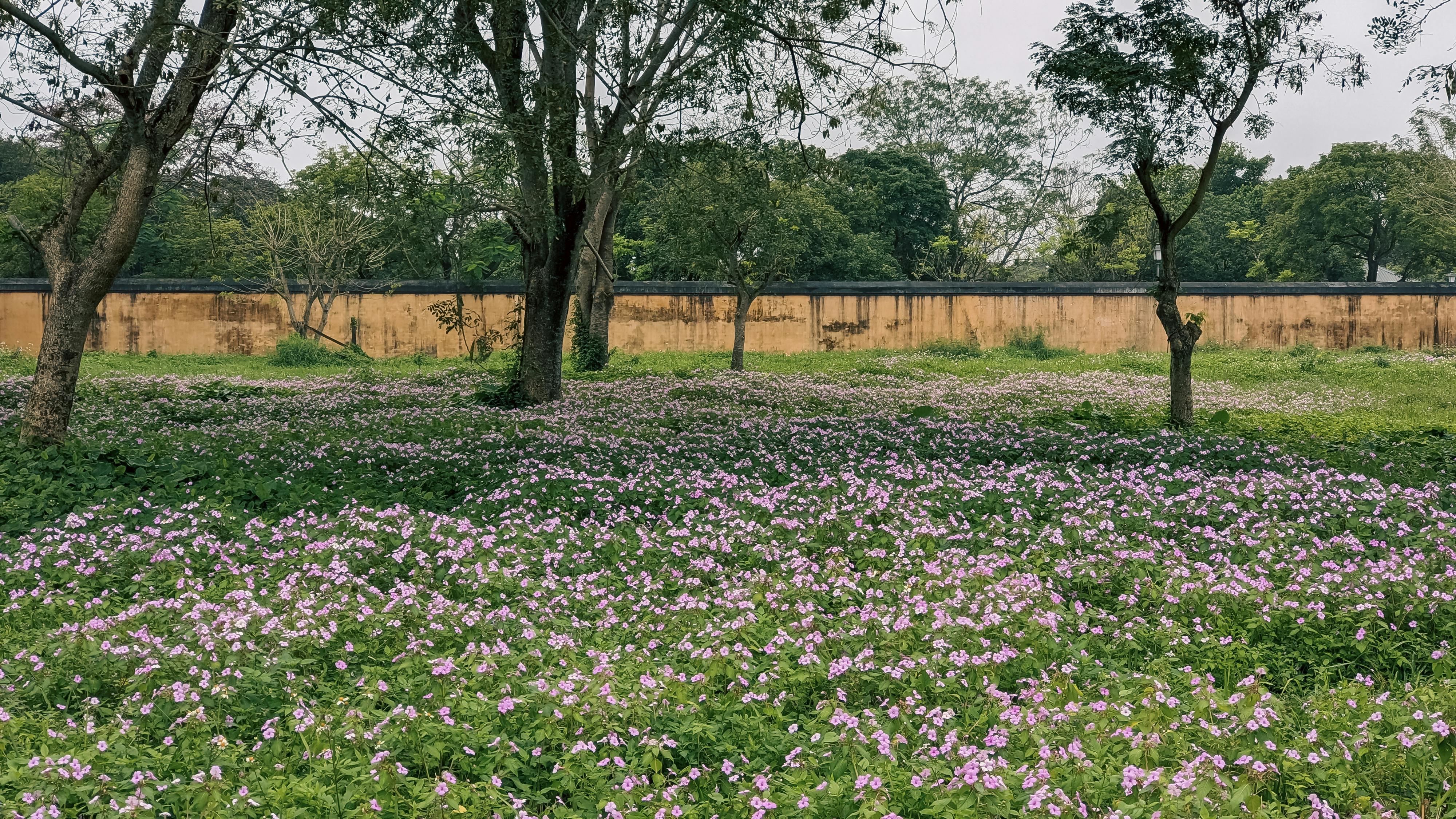 Chủ nghĩa khắc kỷ là tôn giáo ngụy trang 426 – khoa hoc, niem tin, dao duc, ton giao, logos, chu nghia sieu hinh, chu nghia khac ky, nguy trang ton giao.