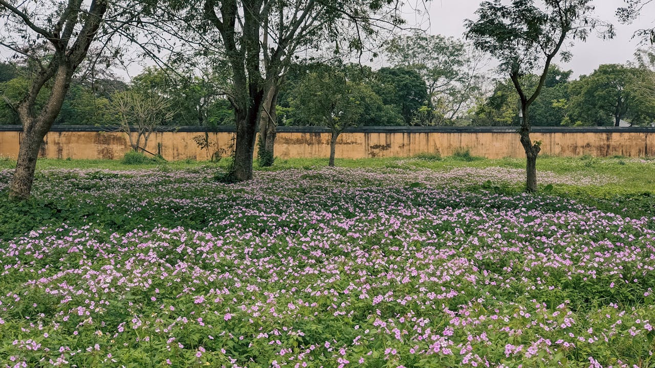 Điều khiến mọi người hiểu sai về Carpe diem là gì?